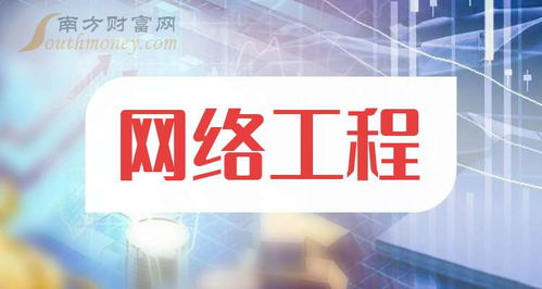 網(wǎng)絡(luò)工程行業(yè)概覽 主要企業(yè)類型與代表公司（2025年11月更新）